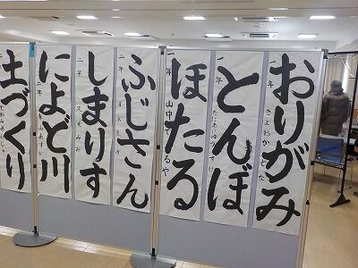 DSCN4323