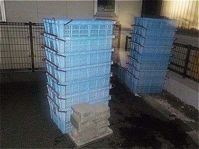 s-632770108_2415852072196129_2152930168530023819_n