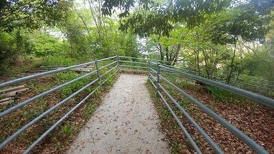 IMG01602