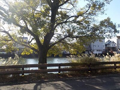 401615676_1792723561175653_6605377523227303266_n