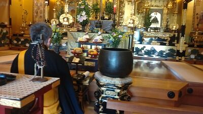 441883717_1898285143952827_4958090123828047697_n