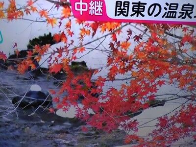 s-594269169_2355002128281124_5131327041316593893_n