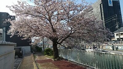 277302242_1397065110741502_2464680239039031154_n