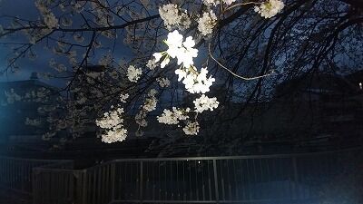 165440042_1158069034641112_4896014494956042877_n - コピー