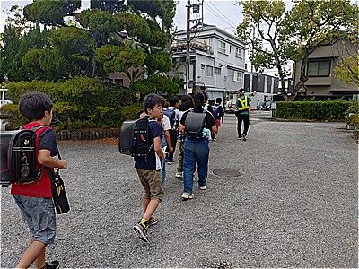 s-565707461_2315518185562852_495261984454372390_n