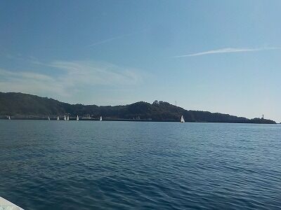 398561405_1786459711802038_3327598277079760624_n