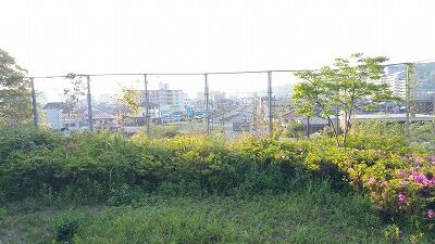 95152216_911839459264072_6745430100407222272_o