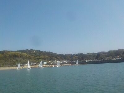 ジュニア・ヨットクラブ