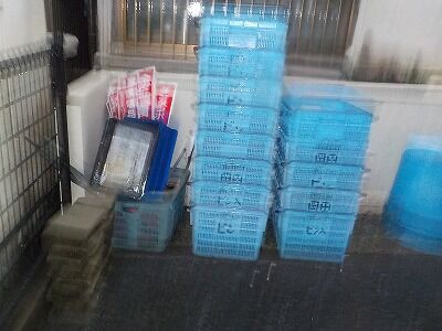 450313711_1937788330002508_8538832624329082126_n