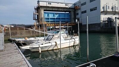 277249905_1397065024074844_1369074212569409258_n - コピー