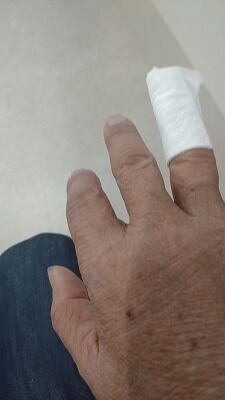 449123412_1928158417632166_6139840643203421766_n