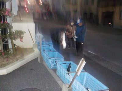 s-611699872_2384367562011247_3815722347975746783_n