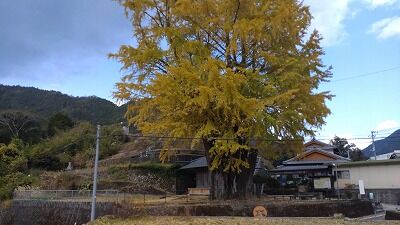 405859547_1798537197260956_3567315133642333038_n