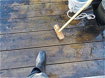 s-600234068_2366457970468873_6239273712883563602_n