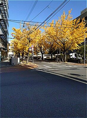 s-589955570_2350014928779844_6749884196806425793_n