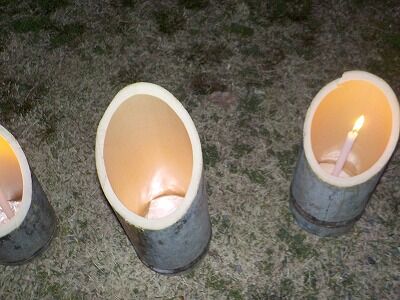 336021978_567831465310042_4769755199327378682_n