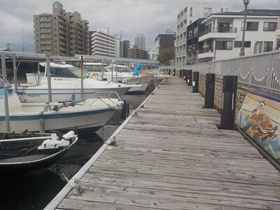 s-565647089_2313670635747607_3731993581650447000_n