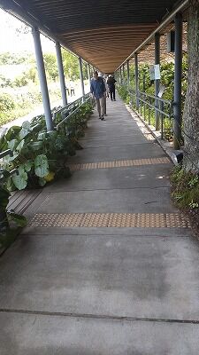 346284643_3537072556551330_7547094272044449462_n