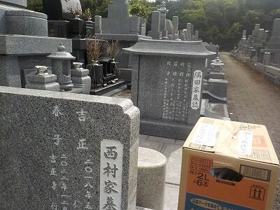 359791392_1724151501366193_6865643851396871522_n