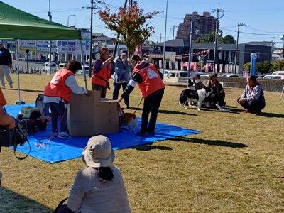 s-584416557_2345701212544549_2780190273890539250_n