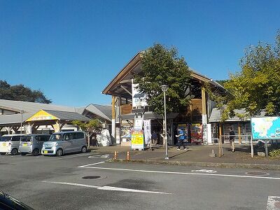 DSCN8887