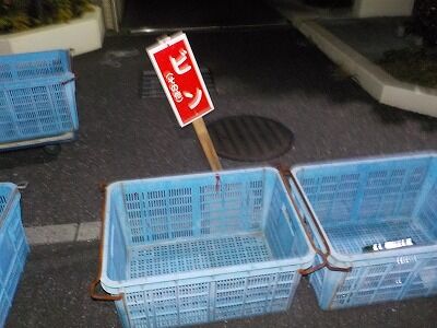 408016881_1803945770053432_2078131235056061931_n