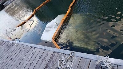 275967430_1391136924667654_1133151031808929132_n