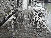 DSCN5488
