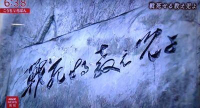 s-506738957_3186692861488938_7868026995385178596_n