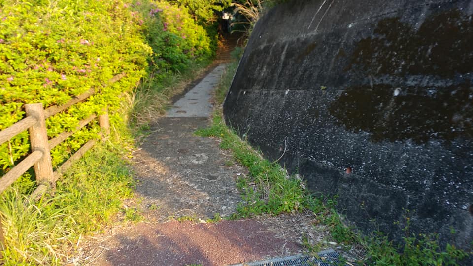 95362861_911804679267550_7186522331173355520_n