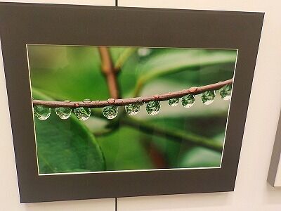 DSCN8714 - コピー