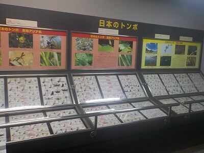 510588310_2207287386385933_5328102849824514454_n