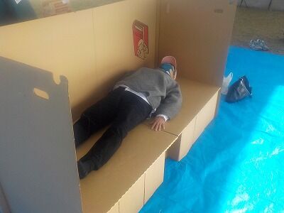 段ボールベット４