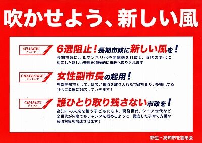 自民党ステルス作戦チラシ4_NEW