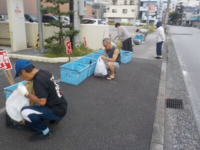 s-529254949_2247047829076555_3687759185060466367_n