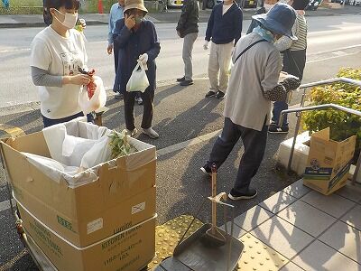 446804397_1912288572552484_3938380147708048900_n