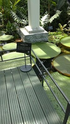 346283666_1342253429685586_3476367958449932639_n