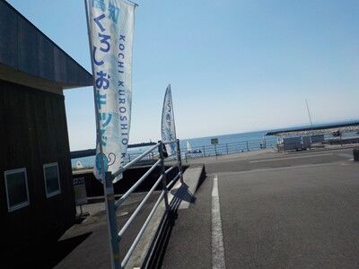 s-DSCN9248