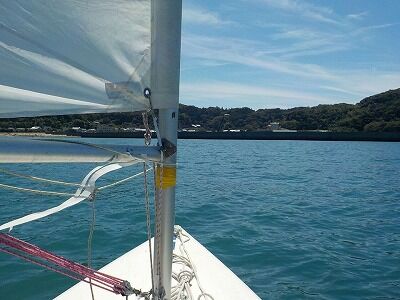 362656283_1731743897273620_6909148552060350376_n