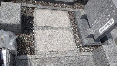 440336767_1898285243952817_6587976962426378477_n