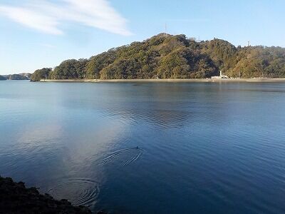 323979464_509742801019819_7059398537326978963_n