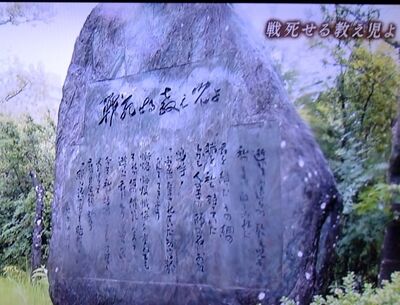 s-510478000_3186690588155832_5453306807648578979_n