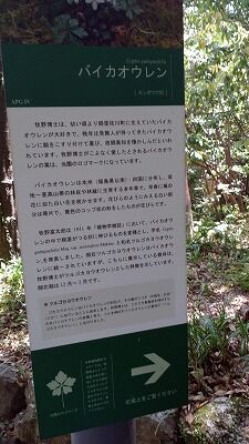 346303461_924927595226307_3886308858195127502_n