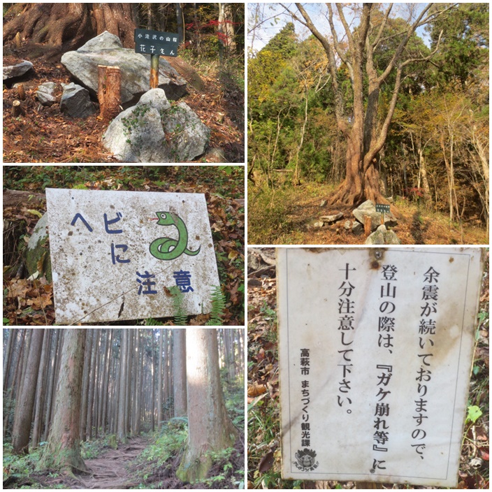 花貫渓谷＆土岳 ハイキング : 旅と山登りを楽しむ