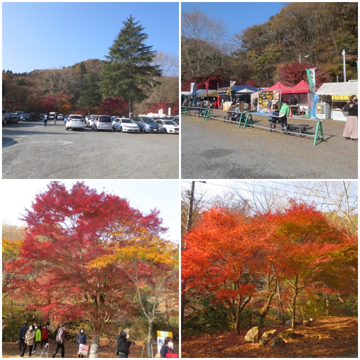花貫渓谷＆土岳 ハイキング : 旅と山登りを楽しむ