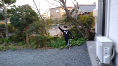 snapshot38