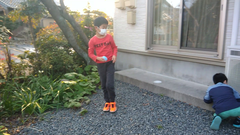 snapshot34