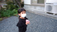 snapshot29
