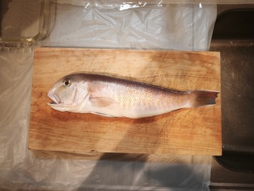 �������ޥ����ȥ����ȥ��ޥť�ϥ�