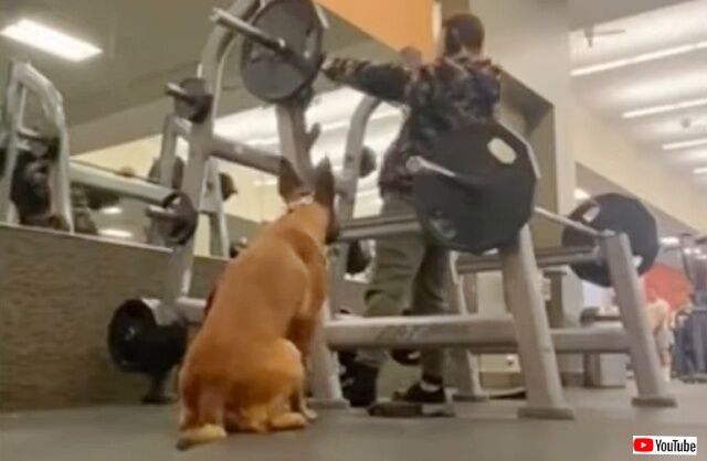 20230411_235651_batch